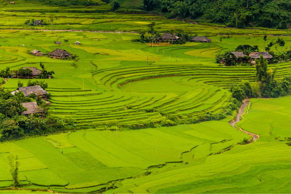 7D6N Magical Mu Cang Chai & Stunning Sapa Tour - photo 30